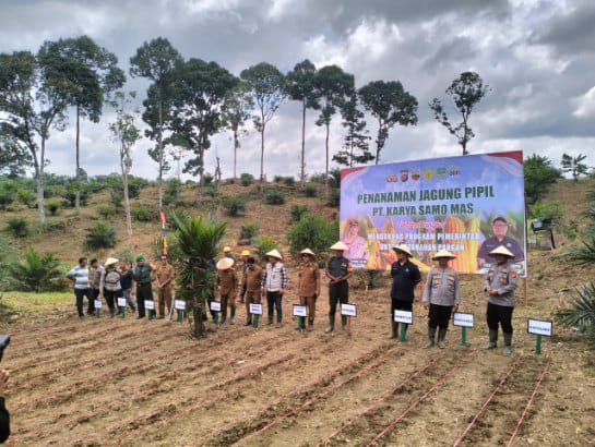 PT KSM Dukung Program Ketahanan Pangan Yang Di Canangkan Oleh Pemerintah.