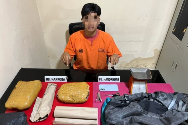 Pengedar Ganja di Koto Hulu, 1,38 Kilogram Ganja Kering Diamankan! Sat-Res Narkoba Polres Kampar.